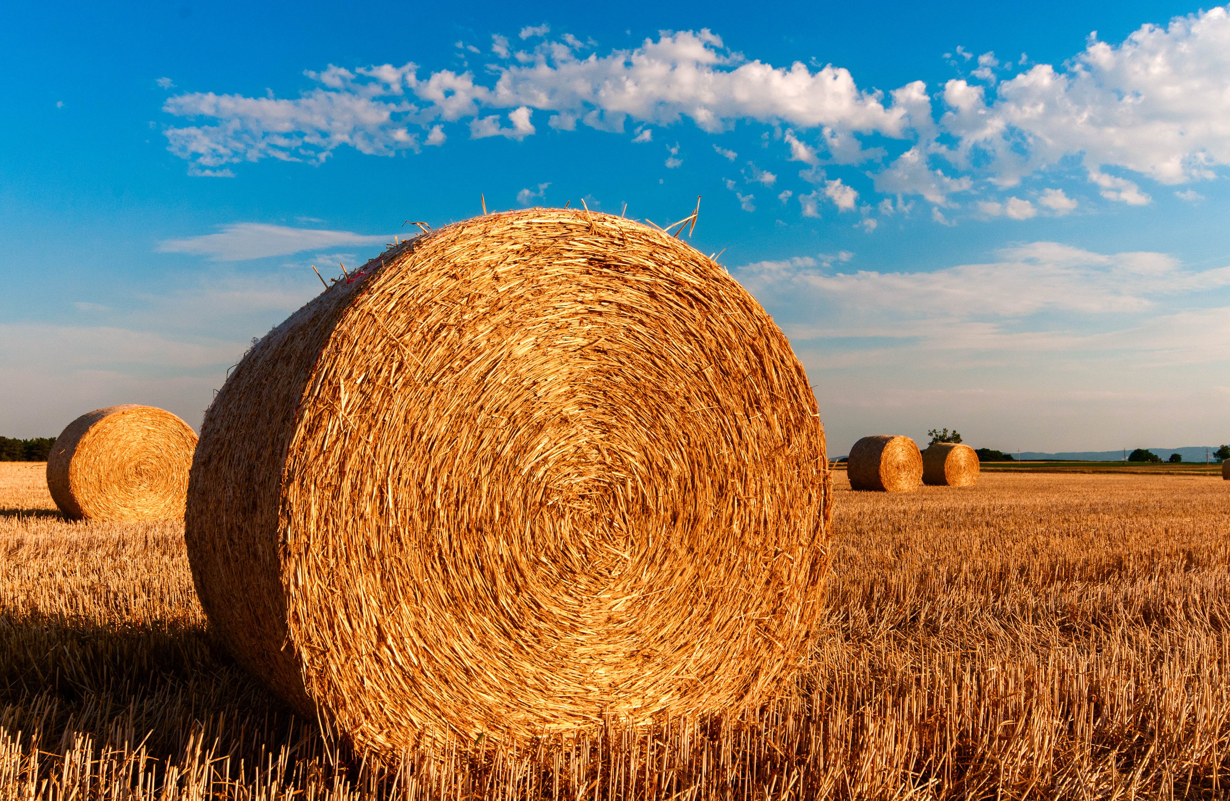 hay-bales-726976